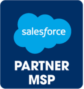 Salesforce Managed Service Provider