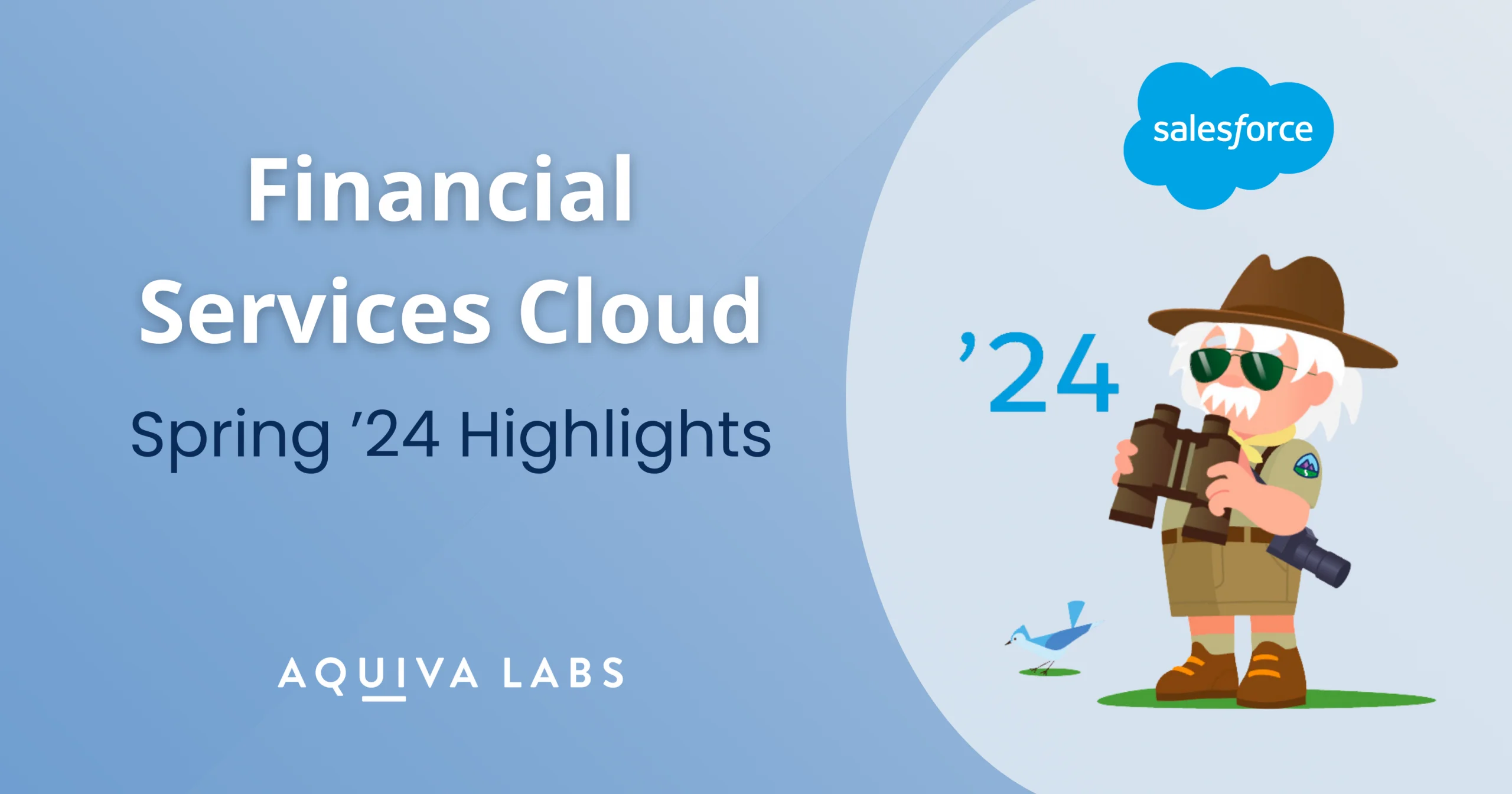 Salesforce Financial Services Cloud Spring '24 Highlights
